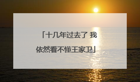 十几年过去了 我依然看不懂王家卫