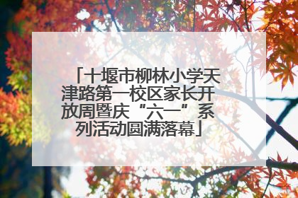 十堰市柳林小学天津路第一校区家长开放周暨庆“六一”系列活动圆满落幕