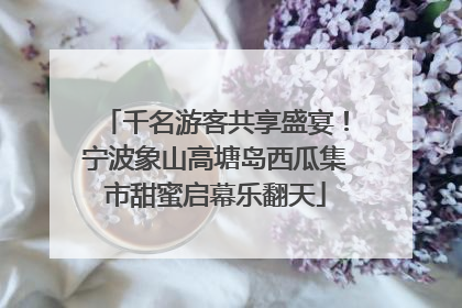 千名游客共享盛宴！宁波象山高塘岛西瓜集市甜蜜启幕乐翻天