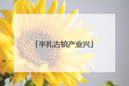 半扎古镇产业兴