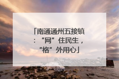 南通通州五接镇：“网”住民生，“格”外用心