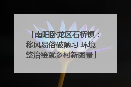 南阳卧龙区石桥镇：移风易俗破陋习 环境整治绘就乡村新图景