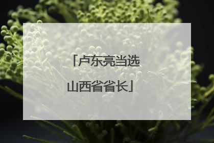 卢东亮当选山西省省长