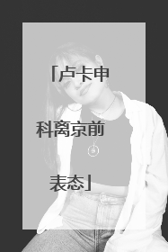 卢卡申科离京前表态