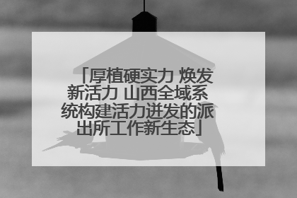 厚植硬实力 焕发新活力 山西全域系统构建活力迸发的派出所工作新生态