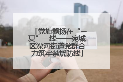 党旗飘扬在“三夏”一线——宛城区溧河街道党群合力筑牢禁烧防线