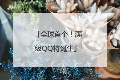 全球首个！满级QQ将诞生
