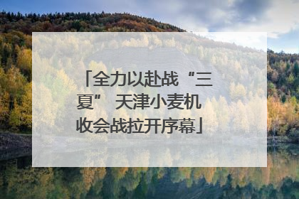 全力以赴战“三夏” 天津小麦机收会战拉开序幕