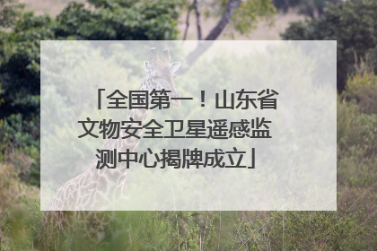 全国第一！山东省文物安全卫星遥感监测中心揭牌成立