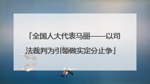 全国人大代表马丽——以司法裁判为引领做实定分止争