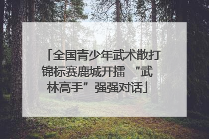 全国青少年武术散打锦标赛鹿城开擂 “武林高手”强强对话