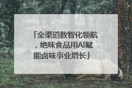 全渠道数智化领航，绝味食品用AI赋能卤味事业增长