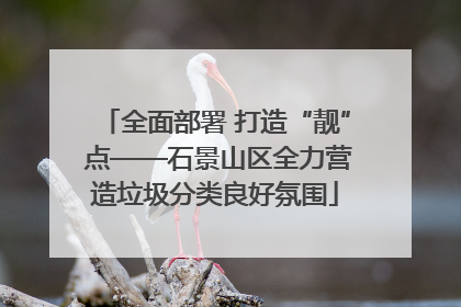 全面部署 打造“靓” 点——石景山区全力营造垃圾分类良好氛围