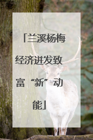 兰溪杨梅经济迸发致富“新”动能