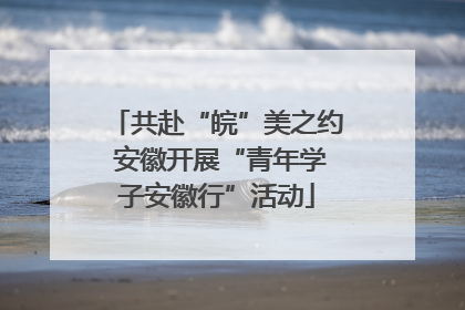共赴“皖”美之约 安徽开展“青年学子安徽行”活动