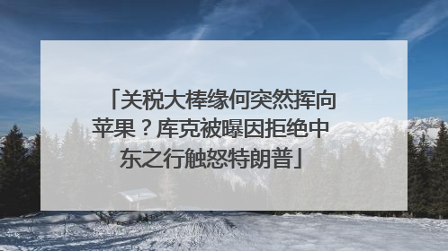 关税大棒缘何突然挥向苹果？库克被曝因拒绝中东之行触怒特朗普