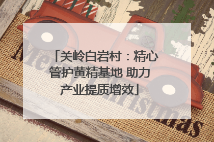 关岭白岩村：精心管护黄精基地 助力产业提质增效