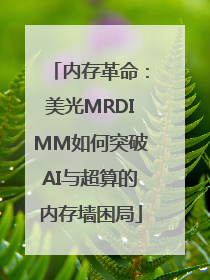 内存革命：美光MRDIMM如何突破AI与超算的内存墙困局