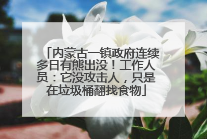 内蒙古一镇政府连续多日有熊出没！工作人员：它没攻击人，只是在垃圾桶翻找食物