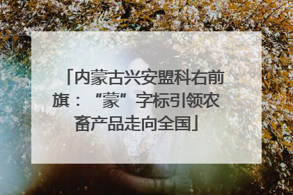 内蒙古兴安盟科右前旗：“蒙”字标引领农畜产品走向全国