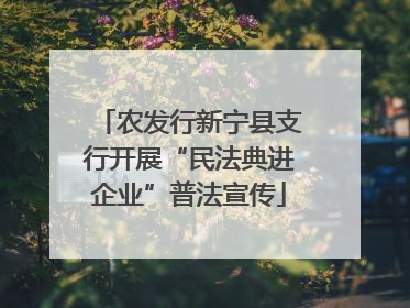 农发行新宁县支行开展“民法典进企业”普法宣传