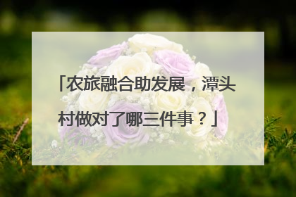 农旅融合助发展，潭头村做对了哪三件事？