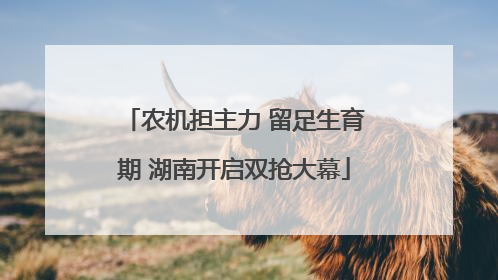 农机担主力 留足生育期 湖南开启双抢大幕