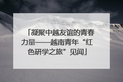 凝聚中越友谊的青春力量——越南青年“红色研学之旅”见闻