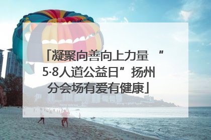 凝聚向善向上力量 “5·8人道公益日”扬州分会场有爱有健康