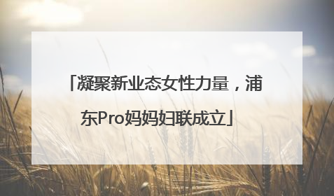 凝聚新业态女性力量，浦东Pro妈妈妇联成立