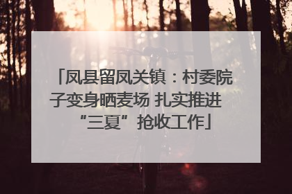 凤县留凤关镇：村委院子变身晒麦场 扎实推进“三夏”抢收工作