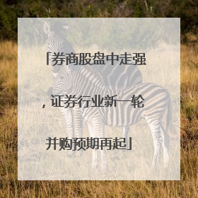 券商股盘中走强，证券行业新一轮并购预期再起