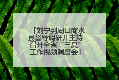 刘宁到周口商水县督导调研并主持召开全省“三夏”工作视频调度会