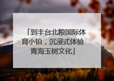 到丰台北粮国际体育小镇，沉浸式体验青海玉树文化