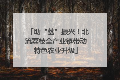 助“荔”振兴！北流荔枝全产业链带动特色农业升级