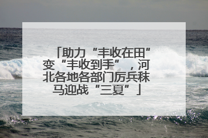 助力“丰收在田”变“丰收到手”，河北各地各部门厉兵秣马迎战“三夏”