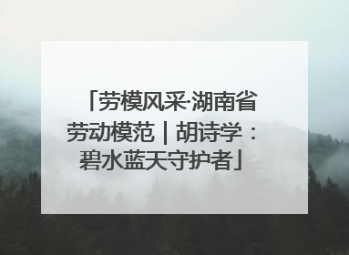 劳模风采·湖南省劳动模范｜胡诗学：碧水蓝天守护者