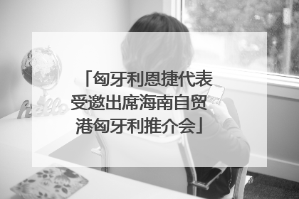 匈牙利恩捷代表受邀出席海南自贸港匈牙利推介会