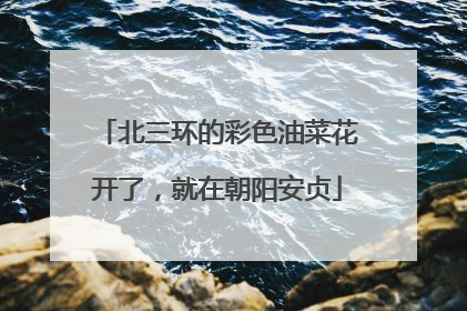 北三环的彩色油菜花开了，就在朝阳安贞