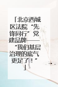 北京西城区法院“先锋同行”党建品牌——“我们基层治理的底气更足了！”