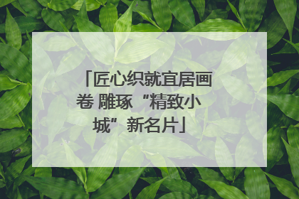 匠心织就宜居画卷 雕琢“精致小城”新名片