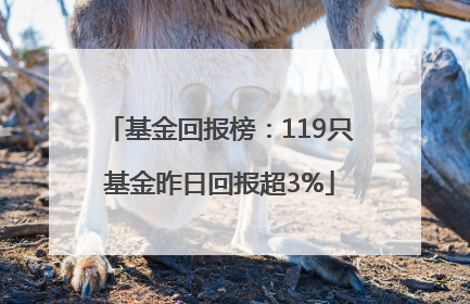 基金回报榜：119只基金昨日回报超3%