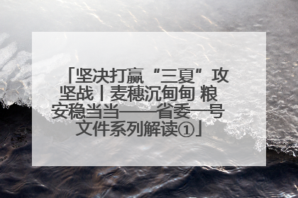 坚决打赢“三夏”攻坚战丨麦穗沉甸甸 粮安稳当当——省委一号文件系列解读①