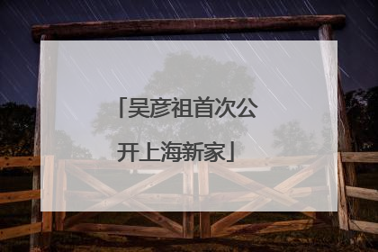 吴彦祖首次公开上海新家