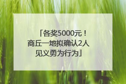 各奖5000元！商丘一地拟确认2人见义勇为行为