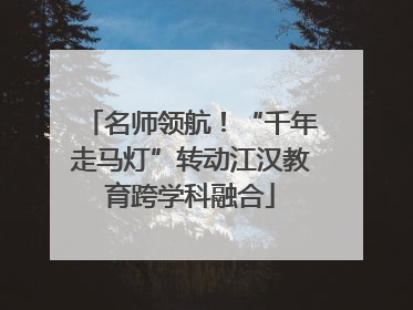 名师领航！“千年走马灯”转动江汉教育跨学科融合