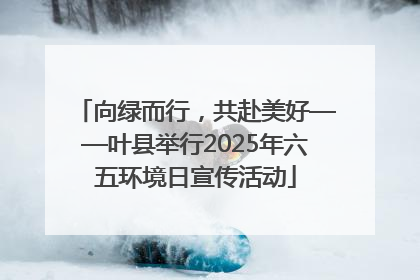 向绿而行，共赴美好——叶县举行2025年六五环境日宣传活动