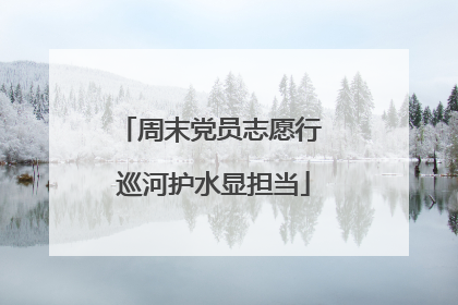 周末党员志愿行 巡河护水显担当