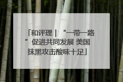 和评理｜“一带一路”促进共同发展 美国抹黑攻击酸味十足