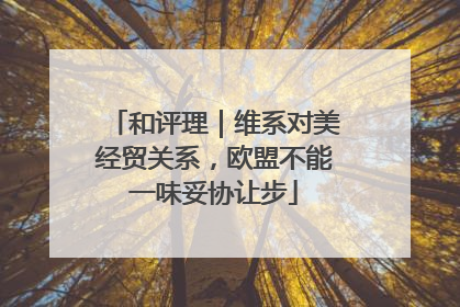 和评理｜维系对美经贸关系，欧盟不能一味妥协让步
